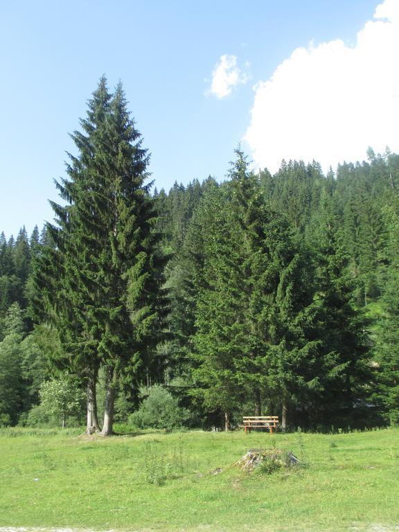 Schwarzenbacher Lungötz Δωμάτιο φωτογραφία