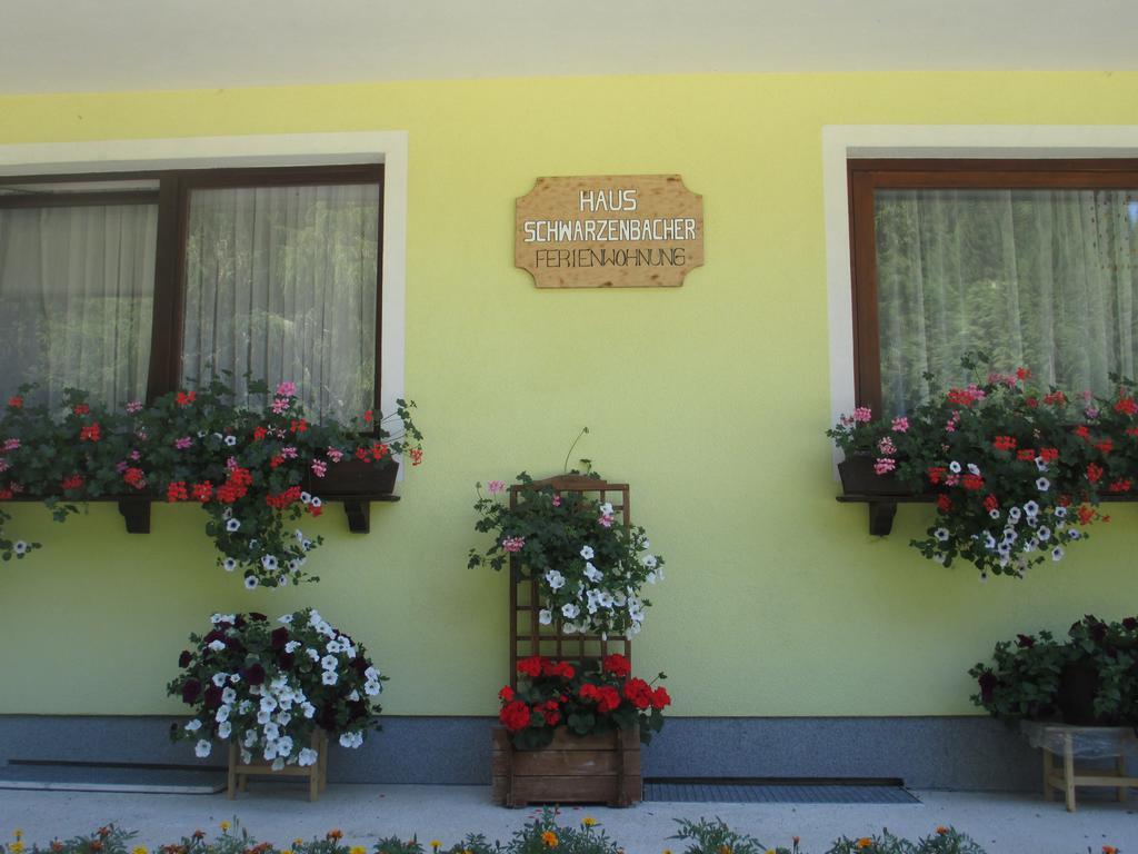 Schwarzenbacher Lungötz Δωμάτιο φωτογραφία